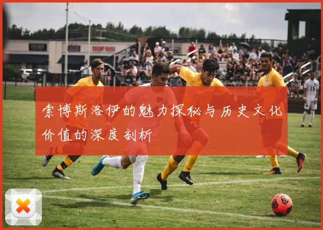 索博斯洛伊的魅力探秘与历史文化价值的深度剖析